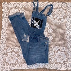 Painted Hollister Boyfriend Overalls